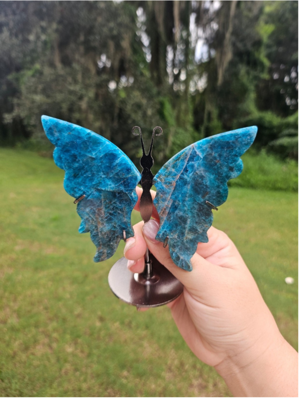 Apatite butterfly on stand
